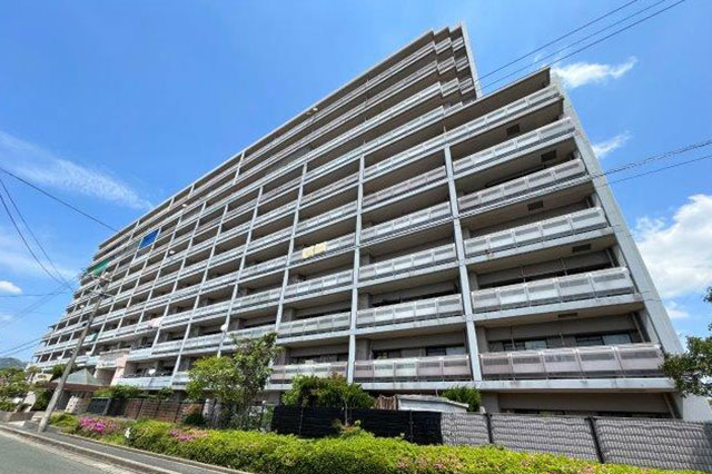 アンピール教育大前