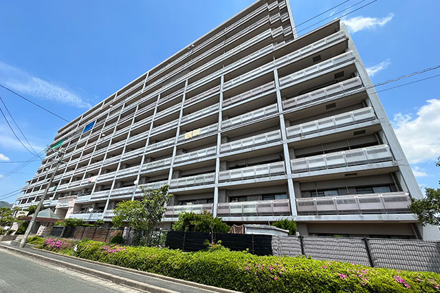 アンピール教育大前